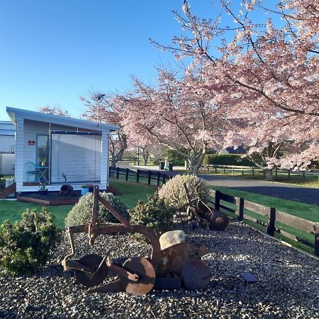 Denchys B&B マタマタ エクステリア 写真