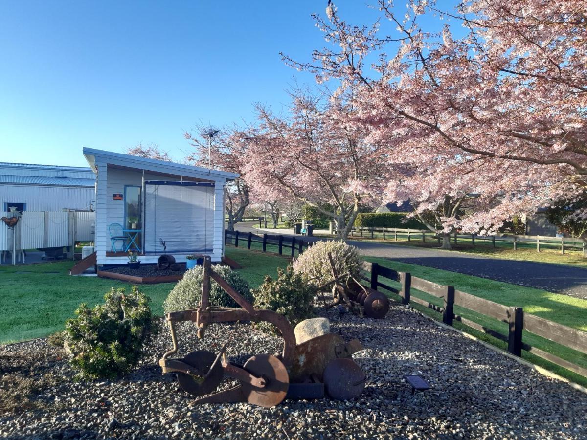Denchys B&B マタマタ エクステリア 写真