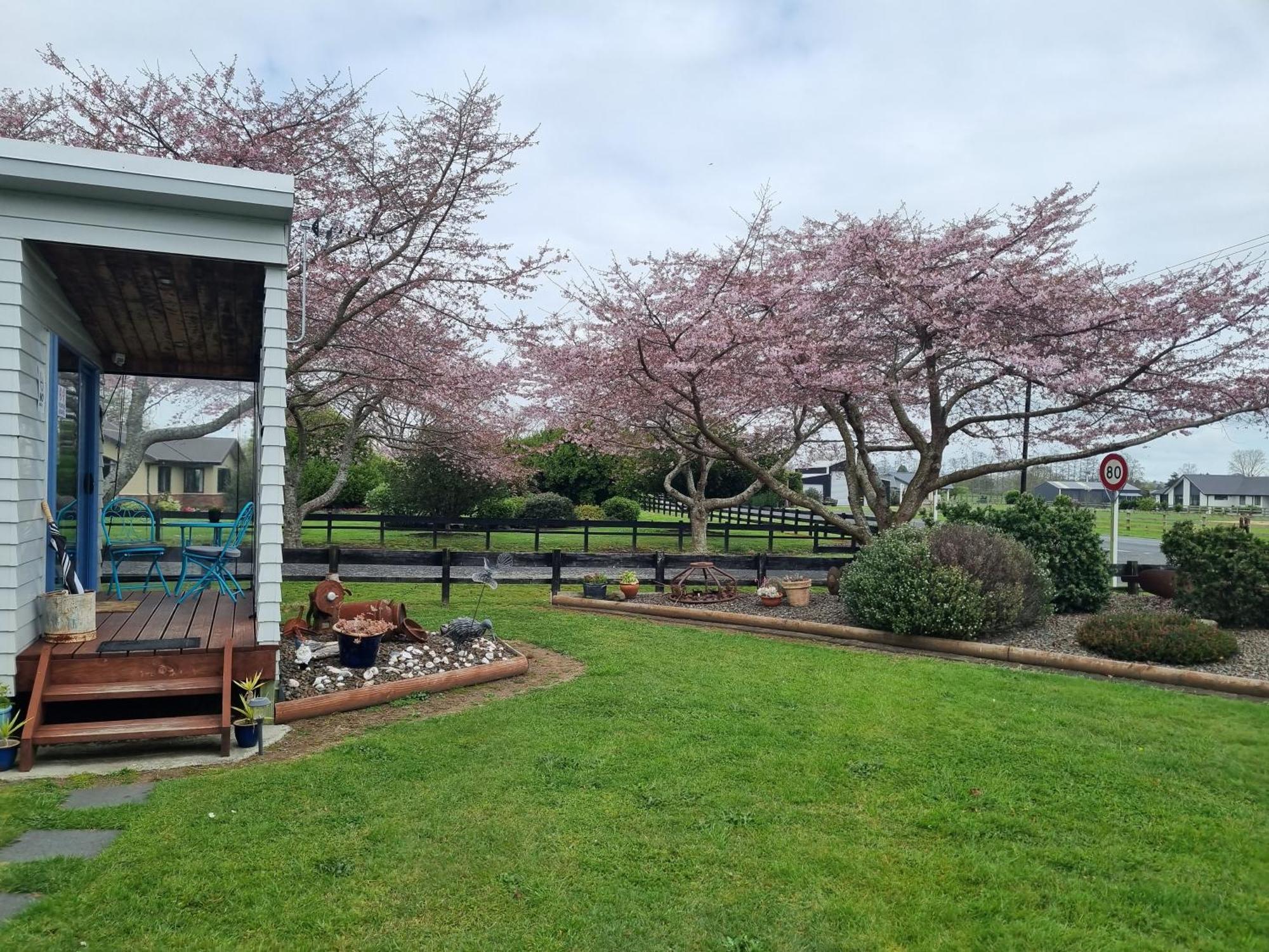 Denchys B&B マタマタ エクステリア 写真